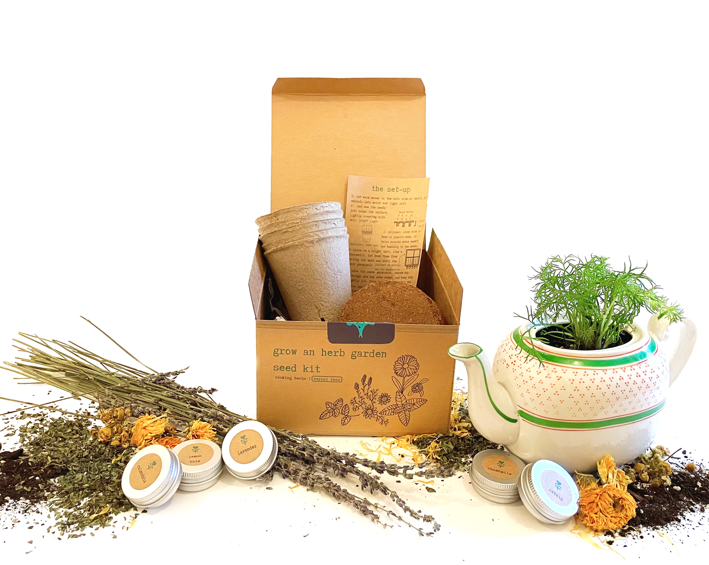 "Get Growing" Plant Kit (Your Choice - Winter Dreaming)