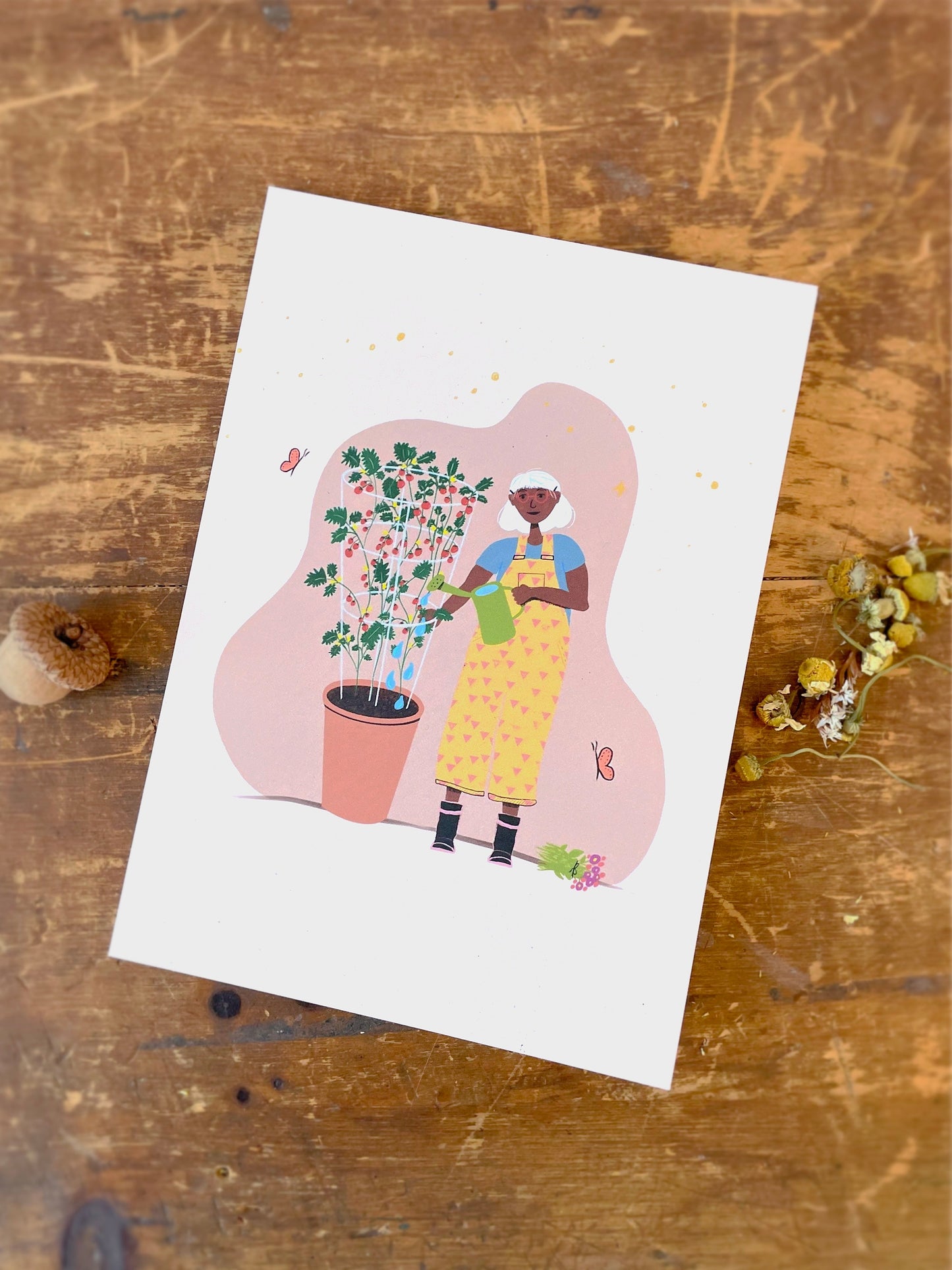 Butterfly Garden Pollinator Greetings Kit w. Non-GMO Butterfly Seed Packet, Infosheets + Gardener Greeting Card (Celebrate Pollinators)