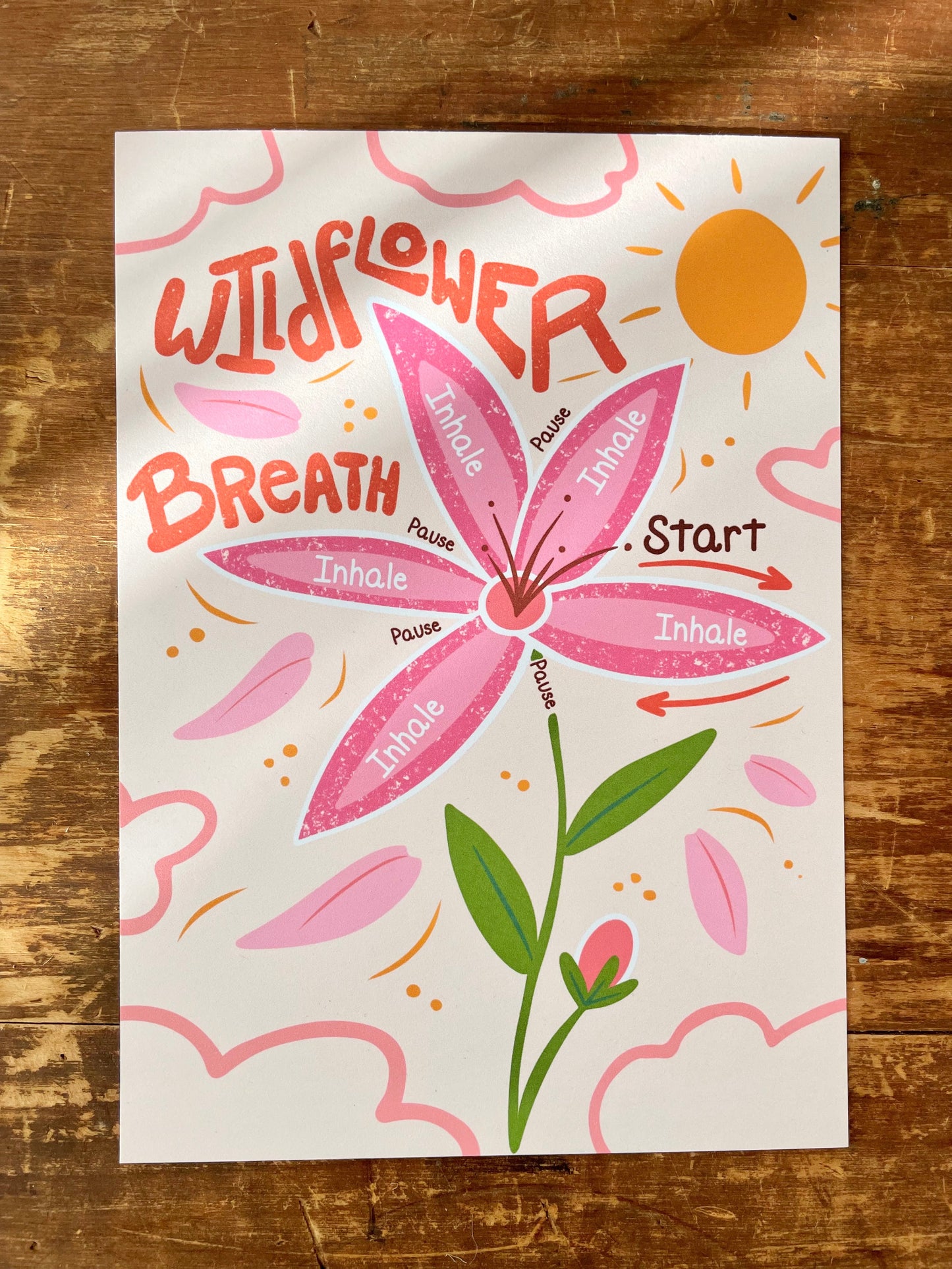 "Peace in All Seasons" Hand-Illustrated Meditation Card Pack w. Instructions 5x7"