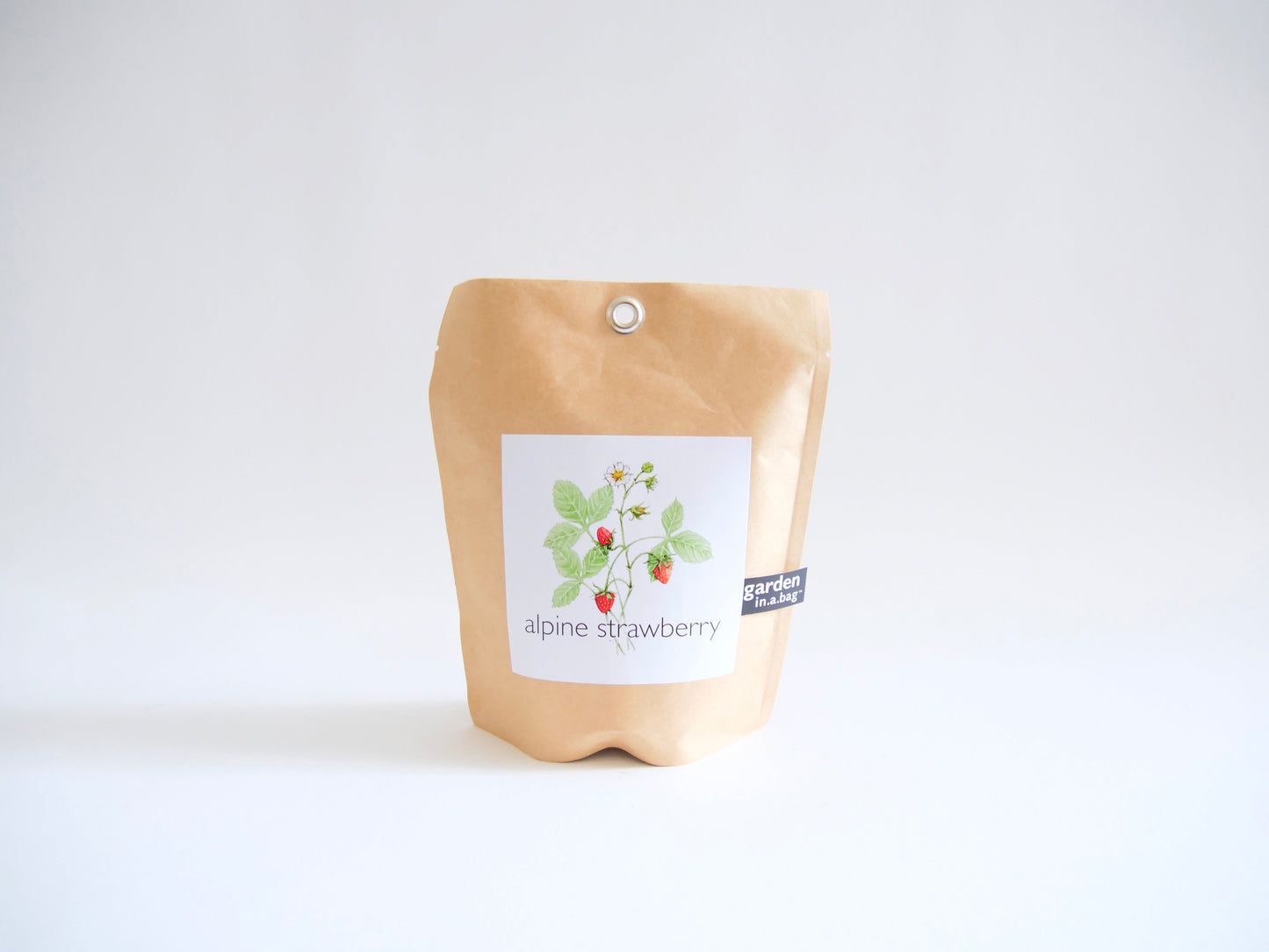 Garden in a Bag Kit with Soil, Seeds & Growing Bag (Assorted Year-Round)