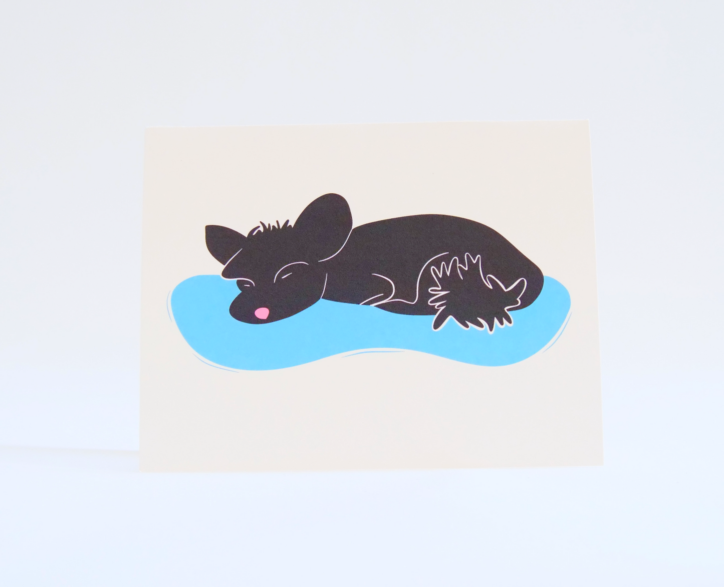 Eco Recycled 4x6 Greeting Cards w. Hand-Drawn Art + Recycled Envelopes, Blank inside - Assorted (Grow & Bloom)