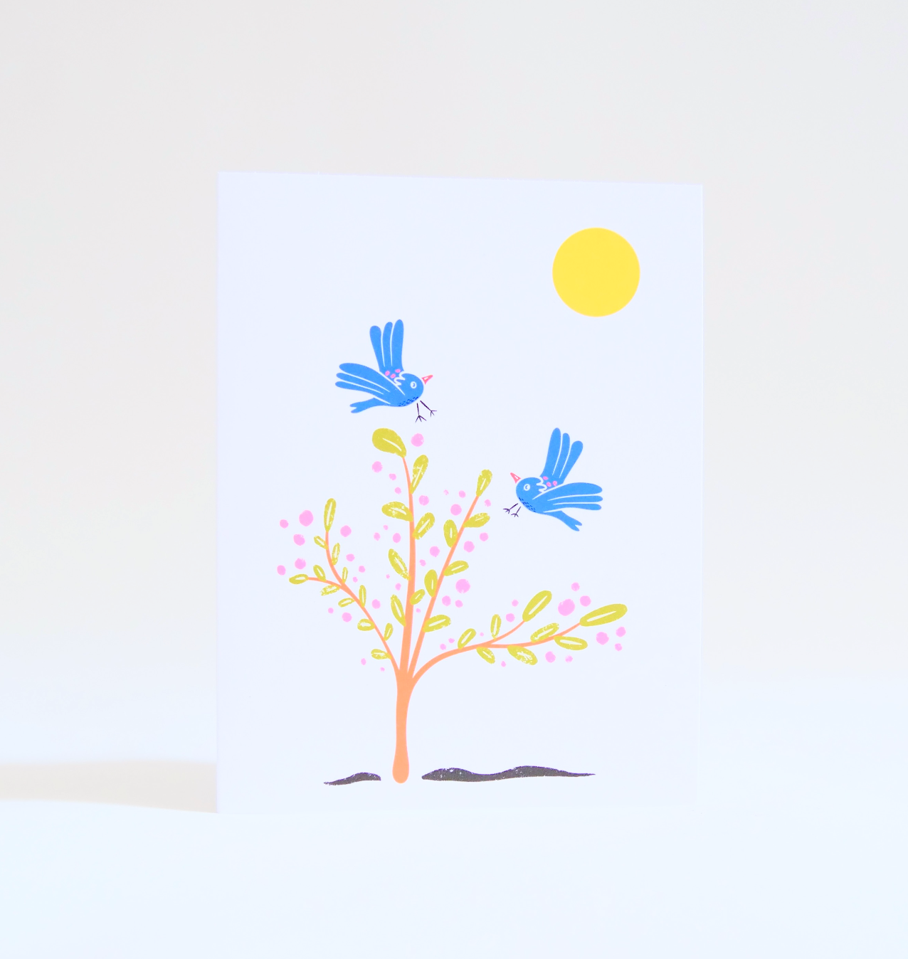 Eco Recycled 4x6 Greeting Cards w. Hand-Drawn Art + Recycled Envelopes, Blank inside - Assorted (Grow & Bloom)