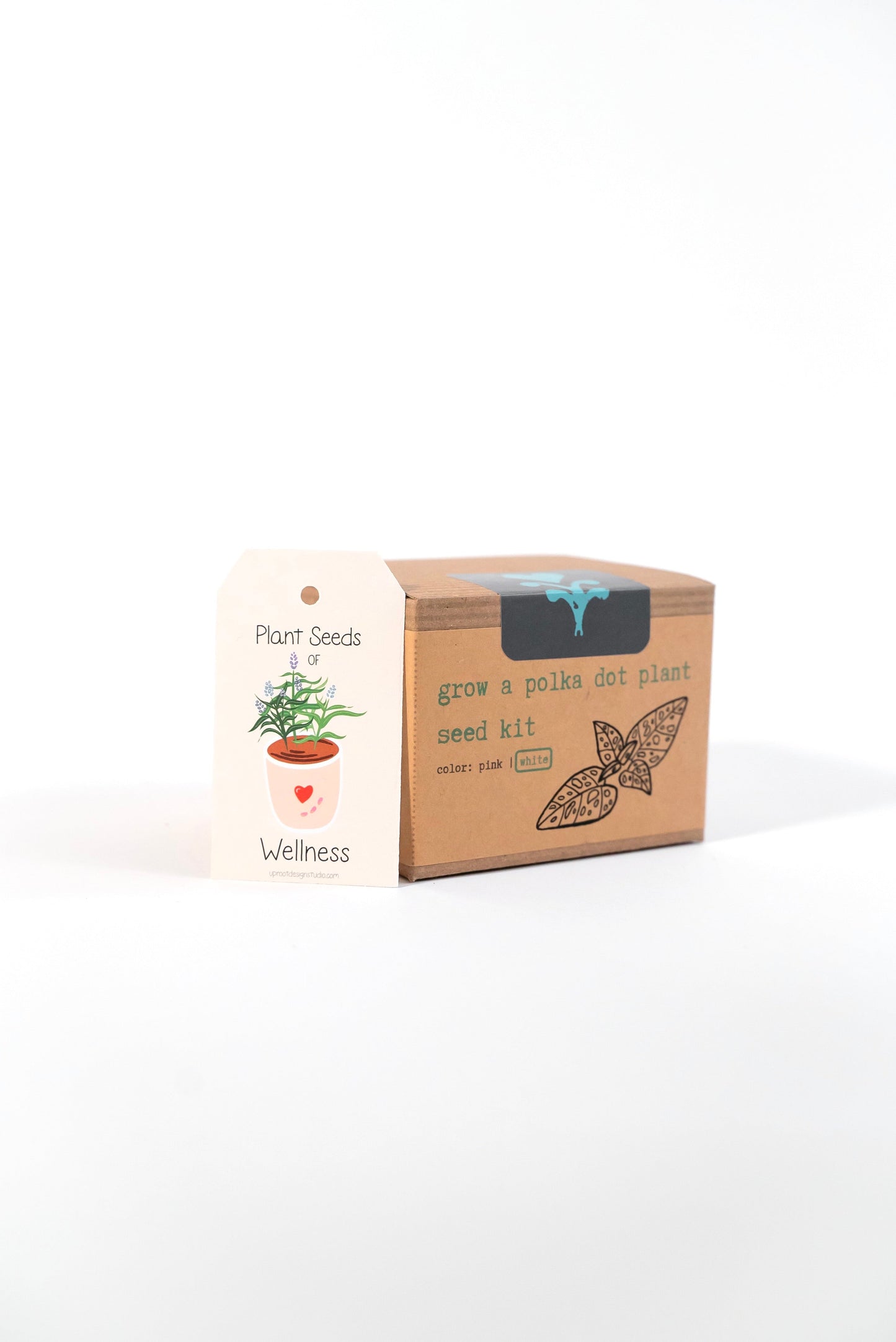 "Get Growing" Plant Kit (Your Choice - Winter Dreaming)